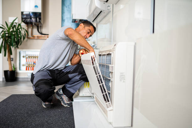 Best Air Duct Sanitizing Services  in Humansville, MO